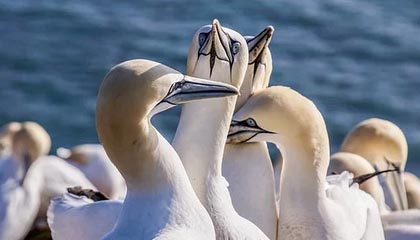 乐鱼体育-开云官方网：开启云端新时代的官方入口